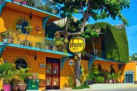 Cabo Inn - Wifi