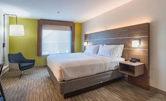 Holiday Inn Express & Suites Swansea