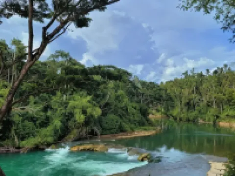 Loboc Nipa Huts Cottages Rental ロボックのホテル