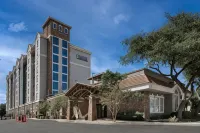 Staybridge Suites San Antonio-Airport Hotels in North San Antonio - SAT