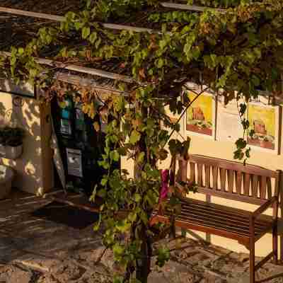 Torraccia di Chiusi Agriturismo Relais Hotel Exterior