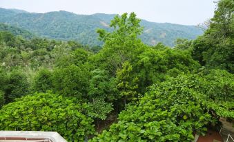 Copperhill- A Luxury Homestay