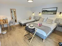 Logis Hôtel du Cygne Hotels in Tour-en-Sologne