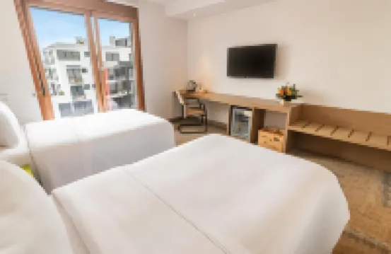 Biohotel Organic Suites