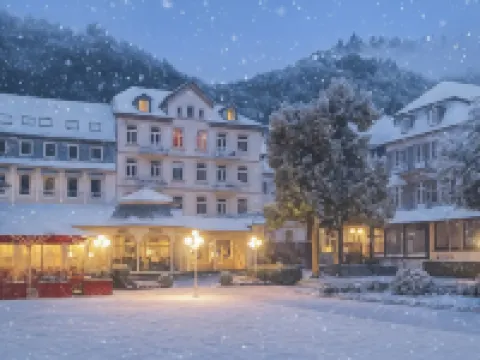 Hotel Fürstenhof Bad Bertrich Hotels in Bad Bertrich