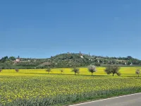 Vacation with a winegrower in the Saale-Unstrut valley! - Homestays