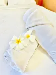 スリヤン ヴィラ