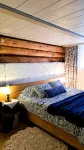 V Dome na Pushkarskoy Apartaments