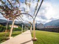 Apartments Villa Riva Hotels in Slano