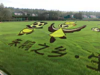 7Days Inn Chain Hotel (Hanzhong Yang County Heping Road) Hotels in Yang County