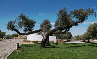 Hotel Rural Santo Antonio