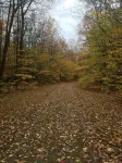 Gorgeous Ski Chalet with Game Room & Hot Tub on Okemo Mt. under 1 mile to base!