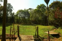 Fantail Bush Chalet, bush and golf on your doorstep! - Chalets