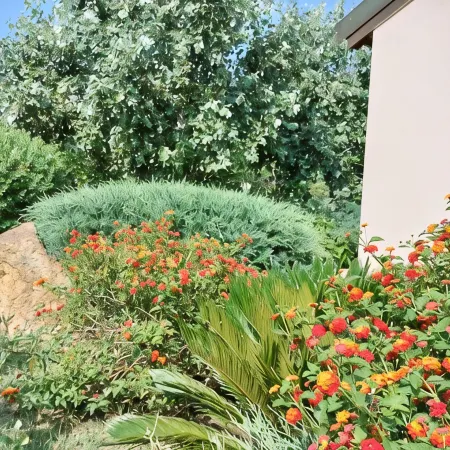 Alghero magnificent villa Laurus with pool in Valverde 122 D