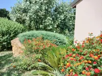 Alghero magnificent villa Laurus with pool in Valverde 122 D