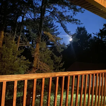 Cabin 5 Fall Asleep to the New River's Song
