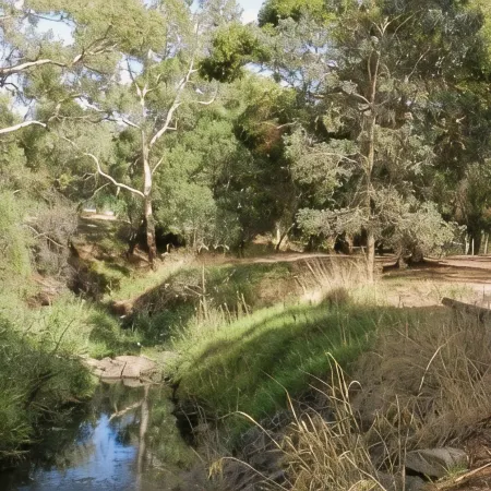 The View of Nature