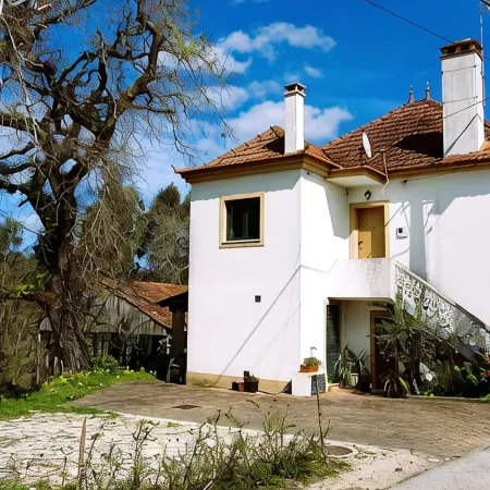 Cozy house in quiet village with generous outdoor space near Pombal