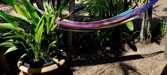 Tropical beach villa Hotels in Mission Beach