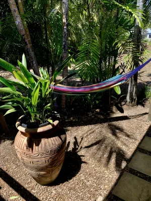 Tropical beach villa