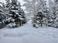 Cozy Romantic Getaway Cabin - Wi-Fi