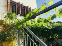 Denis Guest House