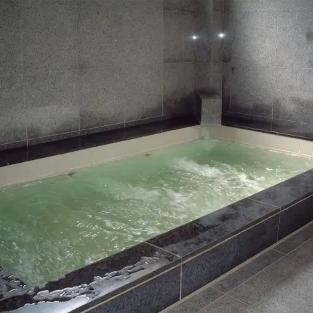 Tokiwa Ryokan