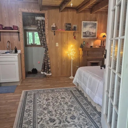 Cozy cabin in peaceful Ellijay with WiFi, AC