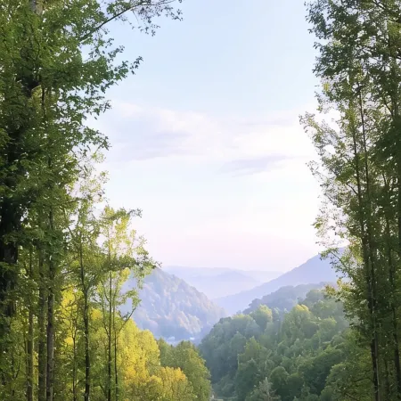 Gorgeous Mountain View 8 miles from Appalachian Trail
