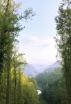 Gorgeous Mountain View 8 miles from Appalachian Trail - WiFi
