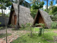Dive Camp Hotels in Dauin
