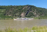 Nice apartment with balcony directly on the Rhine; centrally located - 公寓