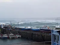 The Harbour - bar