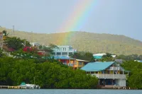Sea Turtle Studio – Upscale Waterview Retreat, Stunning Sunrises & Full Kitchen!