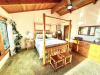 Paradise in Forest setting w/ Ocean views, hot tub, close to town & Hiking - Homestays