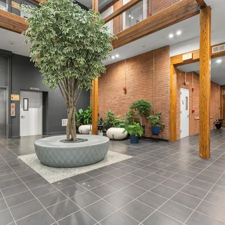 “Elm City” Retreat Near Yale, Parking, Gym, Downtown, Wooster Sq & Union Station