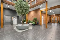 “Elm City” Retreat Near Yale, Parking, Gym, Downtown, Wooster Sq & Union Station - Kitchens