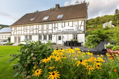 Spacious country house with open fireplace and garden in the Sauerland for young and old - Boutique