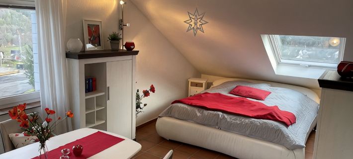 Cozy one-room apartment 15 minutes from the Nürburgring Ξενοδοχεία στην πόλη Ahrweiler