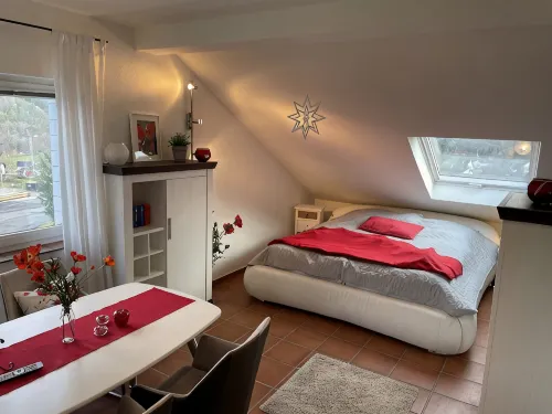 Cozy one-room apartment 15 minutes from the Nürburgring - 4-Star