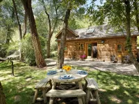 Luxurious Riverfront Cabin on the Frying Pan River - 1 block to Basalt Hotels in Basalt