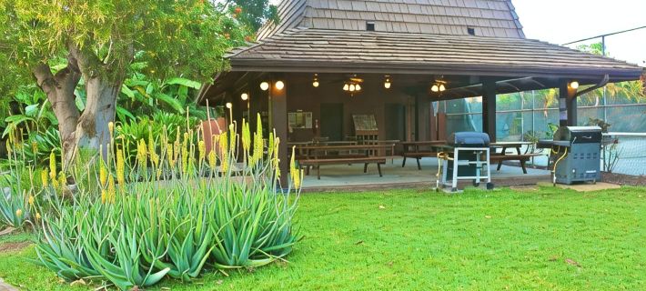 Unquie Artists Condo Home Hotels in Kihei