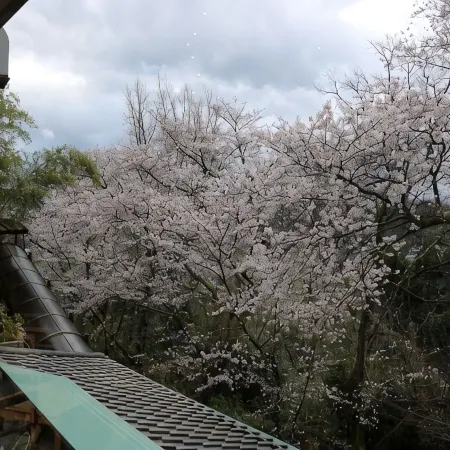 Yunoyado Hakusan Shoubutei