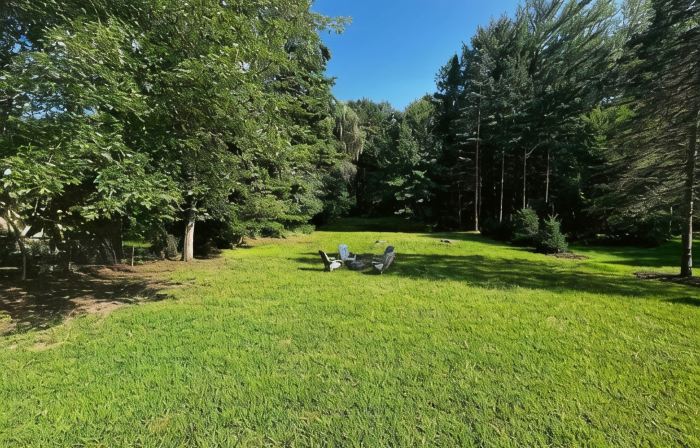 Updated, bright, and peaceful cottage in Lakeside
