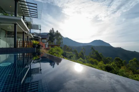 Chandys Drizzle Drops - Munnar Top Station