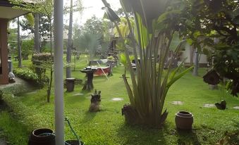 a lush green garden with tall palm trees and potted plants , as well as several dogs playing in the grass at Saraburi Garden Resort