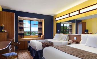 Microtel Inn & Suites by Wyndham New Braunfels