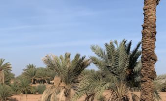 Dar Toda - Zagora Guest House