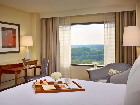 Sonesta Hotel Gwinnett Place Atlanta