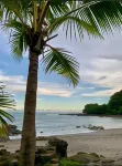 Sunshine Sanctuary Boutique Jungle Lodge Hotels in Montezuma